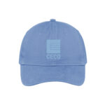 Carolina Blue - Tone on Tone Sew